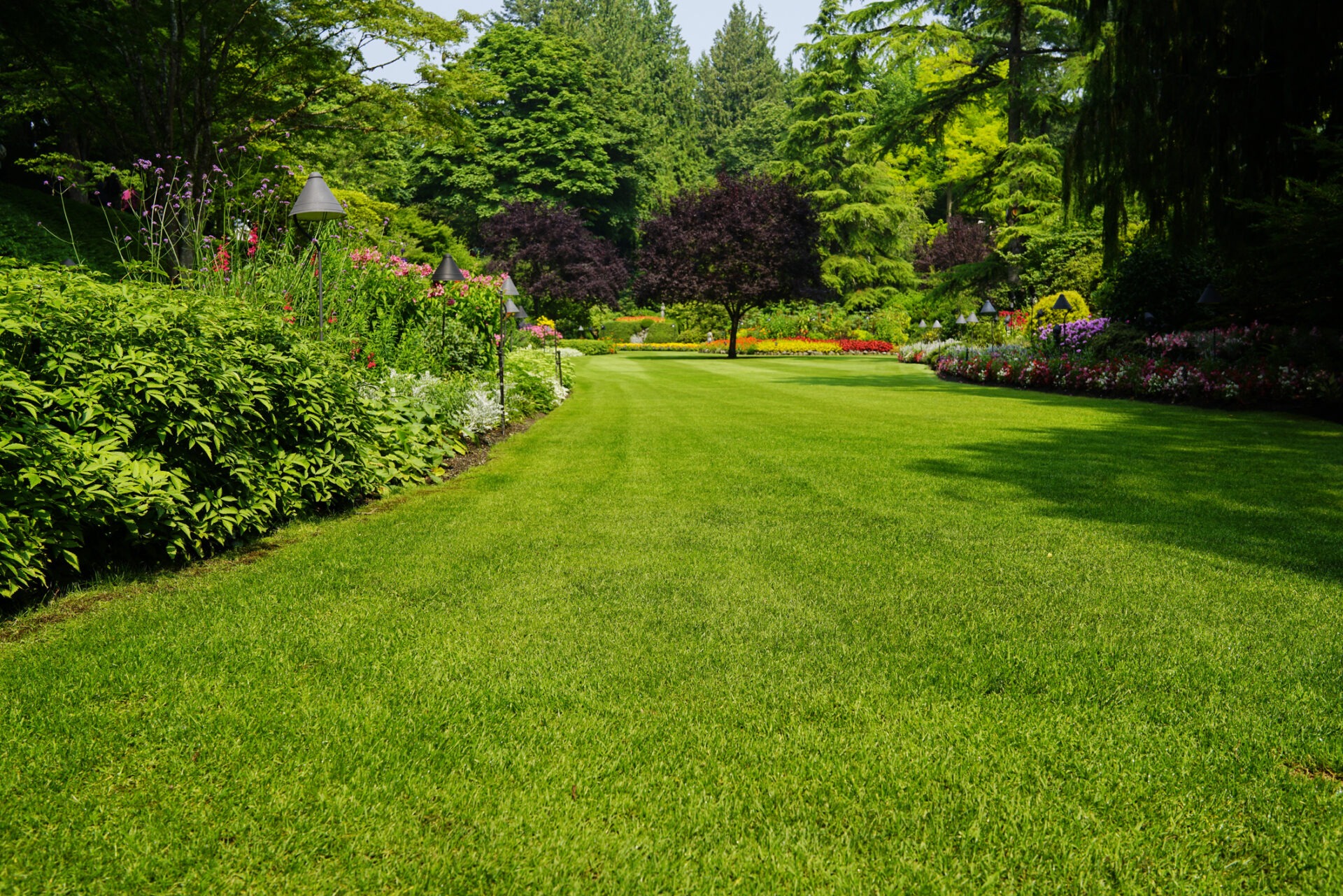 A well-manicured, vibrant green lawn with a curved pathway lined by lush, colorful flowerbeds, trees, and shrubbery under a bright, clear sky.