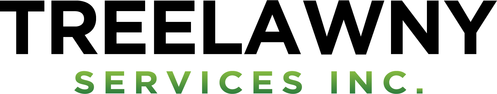 This is an image showing a text logo "SERVICES INC." in capital letters against a black background, with the text colored in a lime green shade.