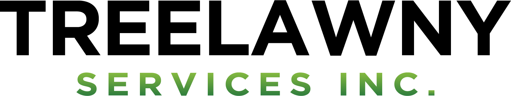 The image shows text that reads "SERVICES INC." in a bold, green font, centered on a black background. It's likely part of a company logo or signage.